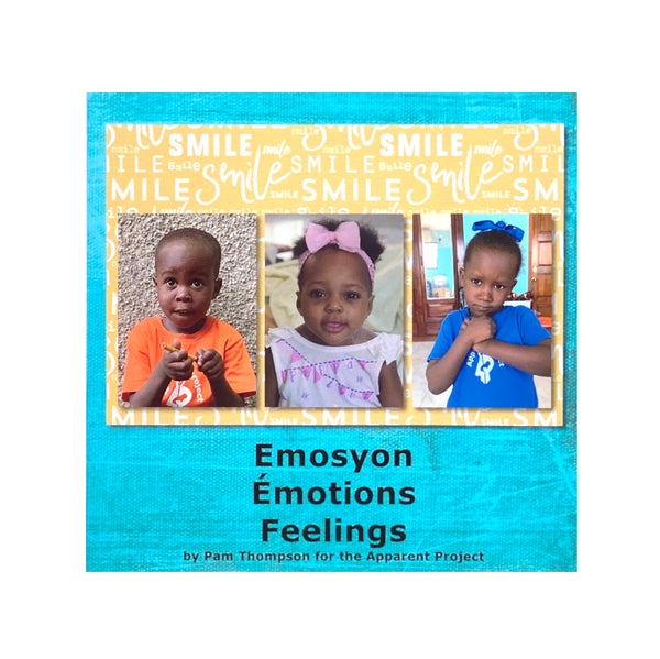 Book - Emosyon-Feelings by Pam Thompson