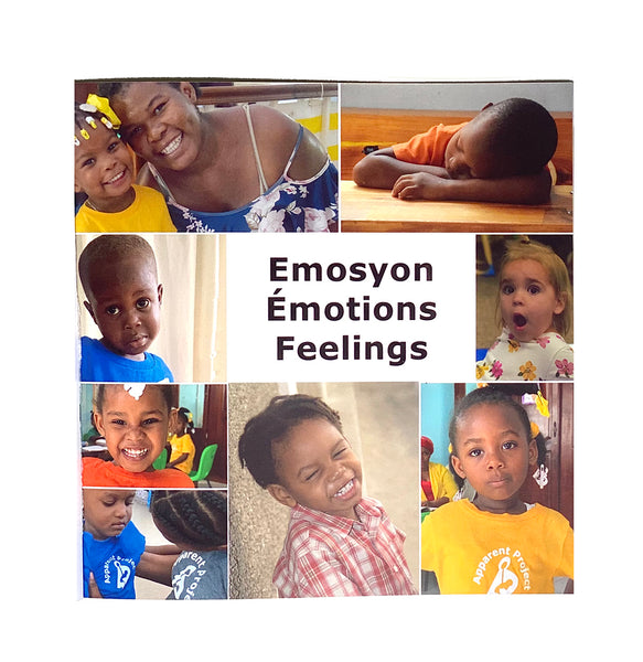 Book - Emosyon-Feelings by Pam Thompson