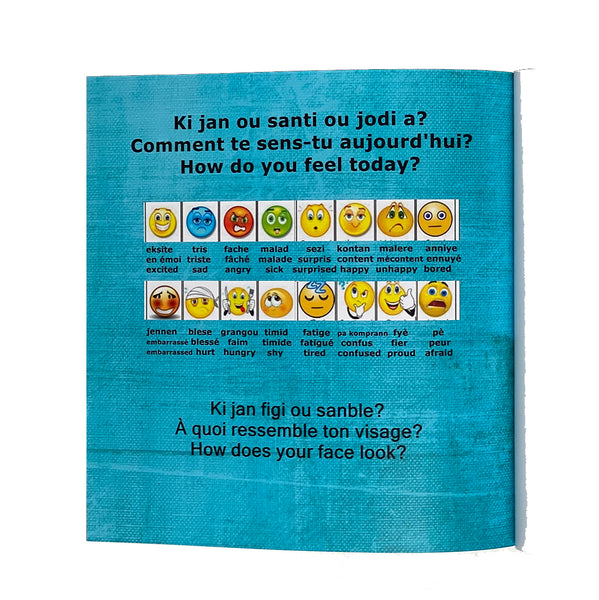 Book - Emosyon-Feelings by Pam Thompson