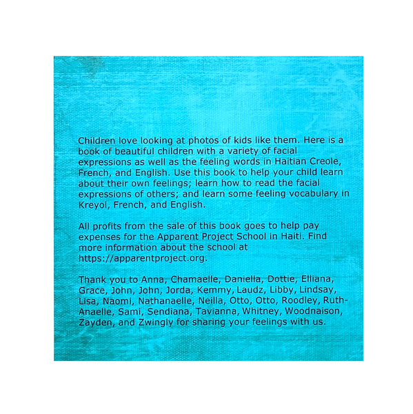 Book - Emosyon-Feelings by Pam Thompson